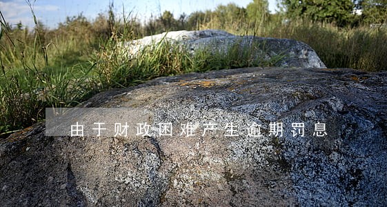 由于财政困难产生逾期罚息 由于财政困难产生逾期罚息