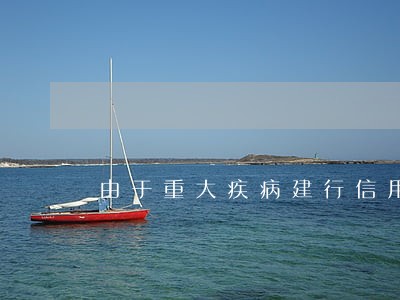 由于重大疾病建行信用卡逾期 由于重大疾病建行信用卡逾期