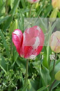 由于银行卡被冻结造成的逾期 由于银行卡被冻结造成的逾期