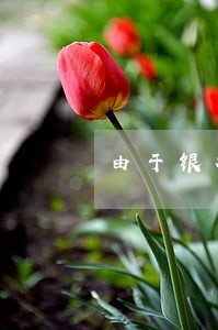 由于银行原因造成贷款逾期 由于银行原因造成贷款逾期