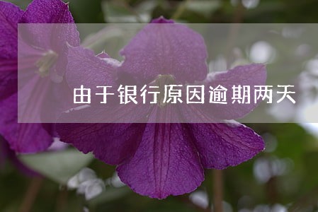 由于银行原因逾期两天 由于银行原因逾期两天