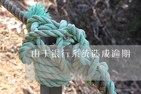 由于银行系统造成逾期 由于银行系统造成逾期