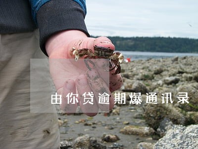 由你贷逾期爆通讯录 由你贷逾期爆通讯录