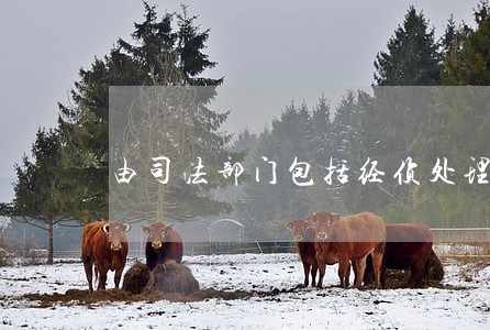 由司法部门包括经侦处理 由司法部门包括经侦处理