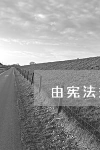 由宪法规定的权利是公民的 由宪法规定的权利是公民的