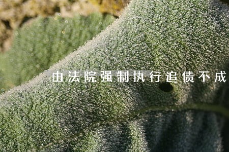 由法院强制执行追债不成怎么办 由法院强制执行追债不成怎么办