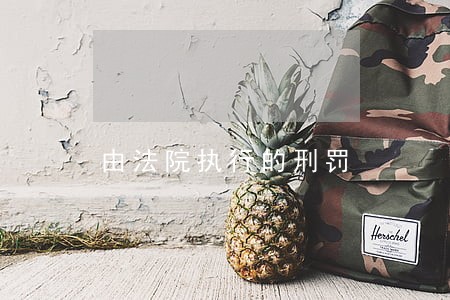 由法院执行的刑罚 由法院执行的刑罚
