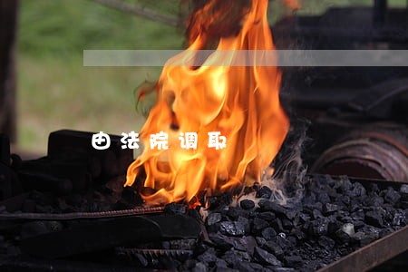 由法院调取 由法院调取
