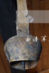 由清算组代表公司参加诉讼 由清算组代表公司参加诉讼