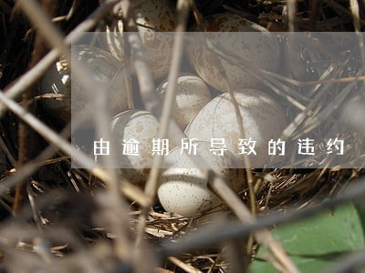由逾期所导致的违约
