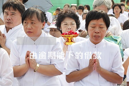 由逾期能下的借款 由逾期能下的借款