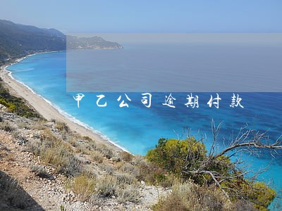甲乙公司逾期付款 甲乙公司逾期付款