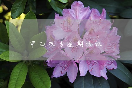 甲乙双方逾期协议 甲乙双方逾期协议