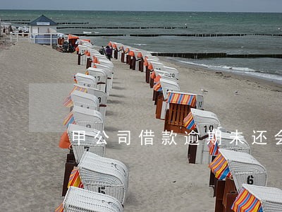 甲公司借款逾期未还会计分录 甲公司借款逾期未还会计分录