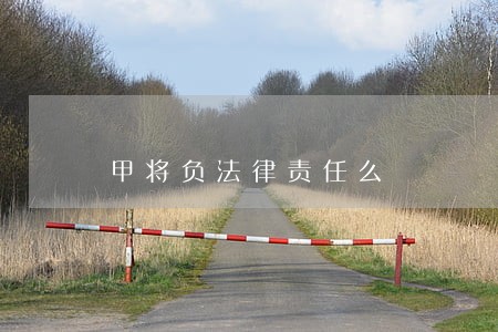 甲将负法律责任么