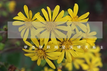 甲市财政局是法律关系主体吗 甲市财政局是法律关系主体吗