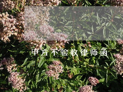 甲方不验收律师函 甲方不验收律师函