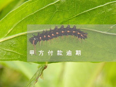 甲方付款逾期
