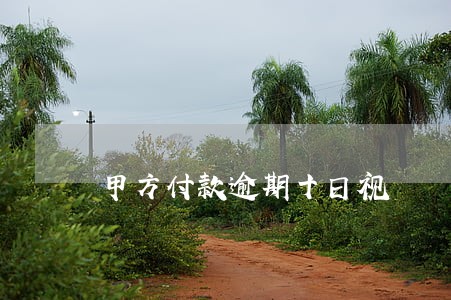 甲方付款逾期十日视