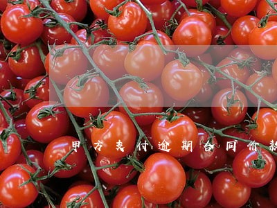 甲方支付逾期合同价款的 甲方支付逾期合同价款的