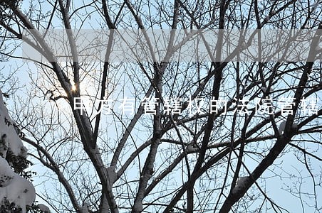 甲方有管辖权的法院管辖