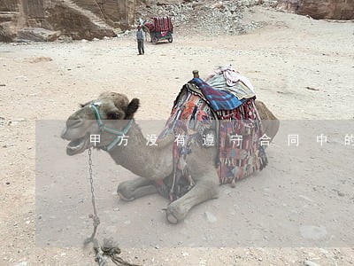 甲方没有遵守合同中的条例
