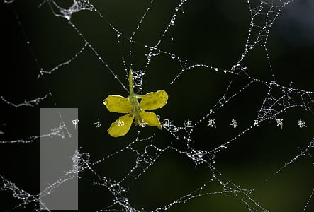 甲方的合同逾期每天罚款5万 甲方的合同逾期每天罚款5万