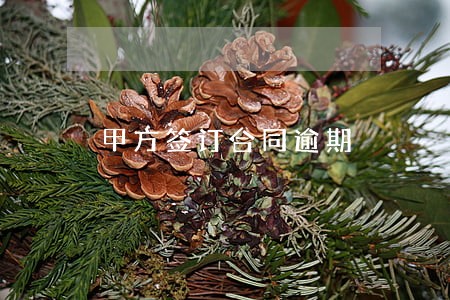 甲方签订合同逾期 甲方签订合同逾期
