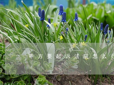 甲方要起诉法院怎么办 甲方要起诉法院怎么办