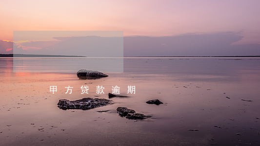甲方贷款逾期 甲方贷款逾期