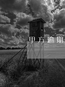 甲方逾期交款违约责任 甲方逾期交款违约责任