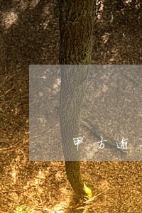 甲方逾期付款怎么赔偿 甲方逾期付款怎么赔偿