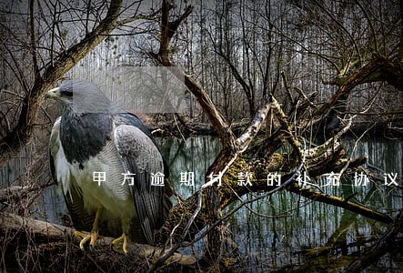 甲方逾期付款的补充协议怎么写 甲方逾期付款的补充协议怎么写