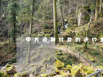 甲方逾期付款的违约金条款 甲方逾期付款的违约金条款