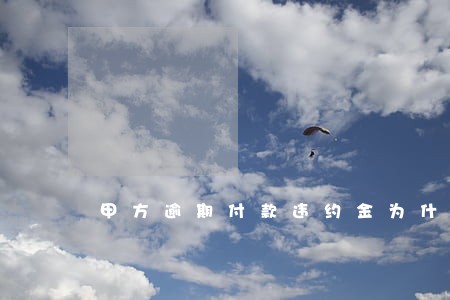 甲方逾期付款违约金为什么不写 甲方逾期付款违约金为什么不写
