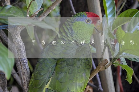 甲方逾期办理房产证导致合同 甲方逾期办理房产证导致合同