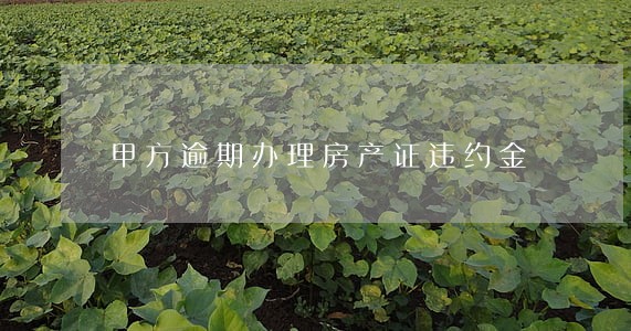 甲方逾期办理房产证违约金 甲方逾期办理房产证违约金
