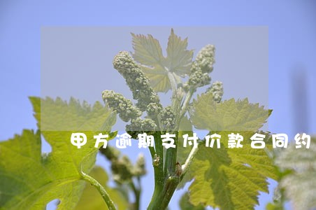 甲方逾期支付价款合同约定 甲方逾期支付价款合同约定