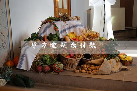 甲方逾期未付款 甲方逾期未付款