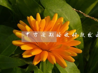 甲方逾期验收付款发函件 甲方逾期验收付款发函件