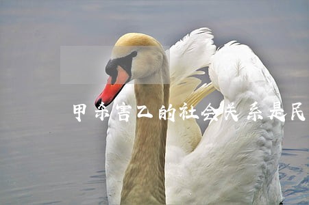 甲杀害乙的社会关系是民法吗