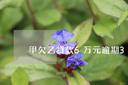 甲欠乙贷款6万元逾期3个月 甲欠乙贷款6万元逾期3个月