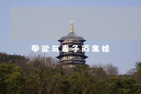 甲欲与妻子丙离婚 甲欲与妻子丙离婚