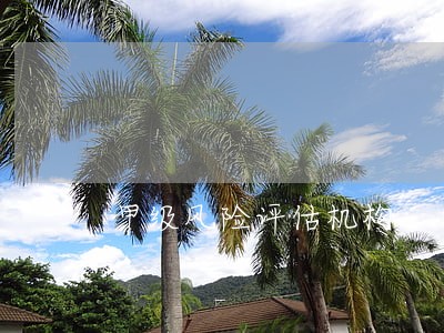 甲级风险评估机构 甲级风险评估机构