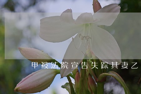 甲被法院宣告失踪其妻乙被指定 甲被法院宣告失踪其妻乙被指定