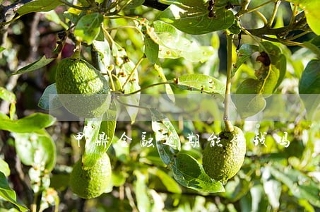 甲鼎金融逾期能借钱吗 甲鼎金融逾期能借钱吗