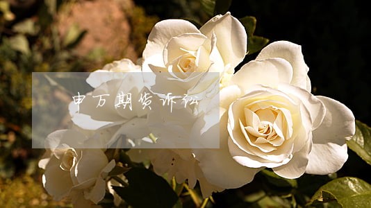 申万期货诉讼