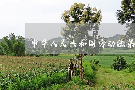 申华人民共和国劳动法第三条 申华人民共和国劳动法第三条