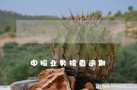 申报业务核查逾期 申报业务核查逾期
