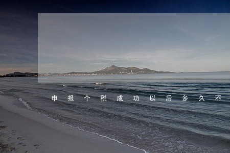 申报个税成功以后多久不交算逾期 申报个税成功以后多久不交算逾期
